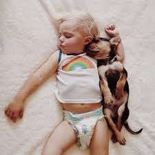 아기와 강아지 같이 키우기, 강아지 아기 사진